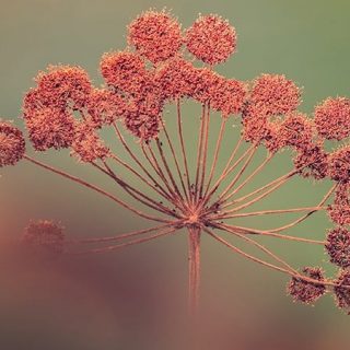 Bagaimana Penggunaan Kata 到 (Dào) Dalam Kalimat Bahasa Mandarin