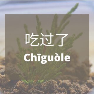 Bahasa Mandarin Penggunaan Kata 过 (Guo) Dengan 了(Le)