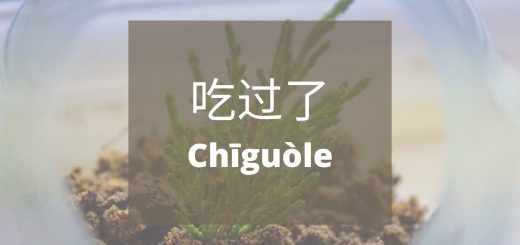 Bahasa Mandarin Penggunaan Kata 过 (Guo) Dengan 了(Le)