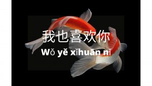 Bahasa mandarin penggunaan kata 也 (ye) – MandarinMe