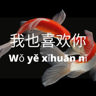 Bahasa mandarin penggunaan kata 也 (ye) – MandarinMe