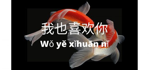 Bahasa mandarin penggunaan kata 也 (ye) – MandarinMe
