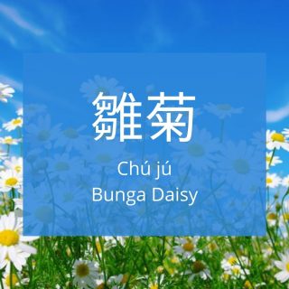 nama bunga dalam bahasa mandarin