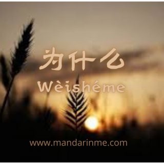 为什么 (wèishéme ) diletakkan setelah subjek sebelum predikat.