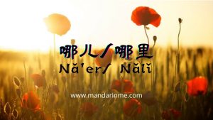 Penggunaan Kata 哪儿（Naer）Dan 哪里（Nali）Dalam Bahasa Mandarin