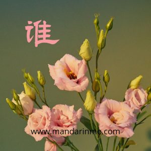 Penggunaan Kata Tanya 谁 (Shei) Dalam Bahasa Mandarin Dan Contohnya