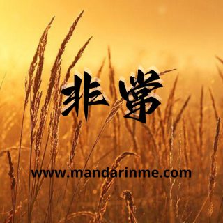 penggunaan 非常(fēicháng)