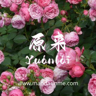 perbedaan 本来dan 原来