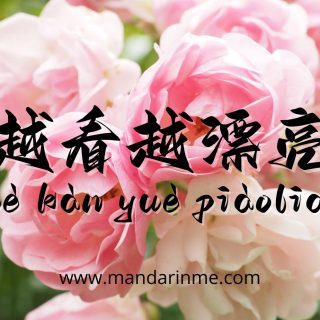 Penggunaan 越。。越。。(Yue...Yue) Dalam Bahasa Mandarin