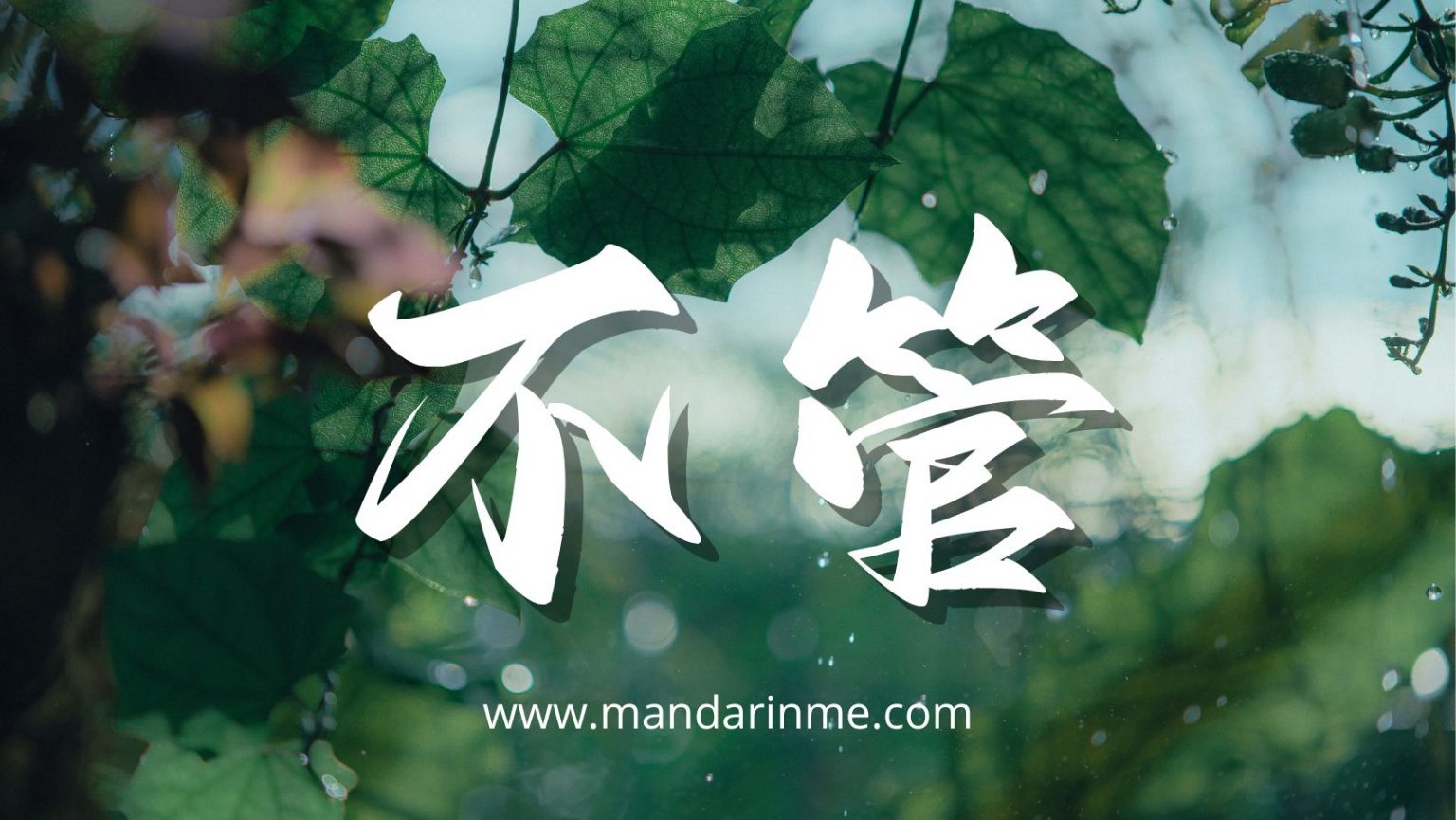 Penggunaan 不管 (Bu Guan) Dalam Bahasa Mandarin - MandarinMe