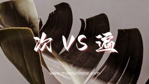 Penggunaan 次(Ci) Dan 遍 (Bian) Dalam Bahasa Mandarin