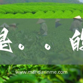 Penggunaan 是。。的(Shì..De) Dalam Bahasa Mandarin