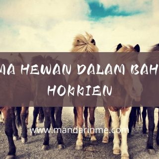Nama Hewan Dalam Bahasa Hokkien