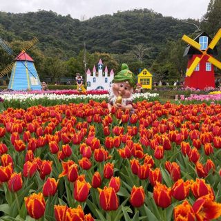 Jadwal Festival Bunga Di Taipei Sepanjang Tahun 2023