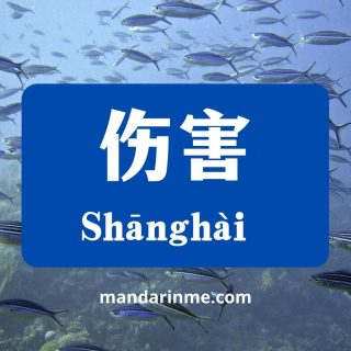 penggunaan 伤害 (shanghai) dalam bahasa mandarin