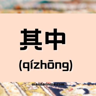 Penggunaan 其中 (qizhong) dalam Bahasa mandarin