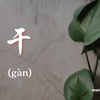 Penggunaan 干(gàn) dalam bahasa mandarin