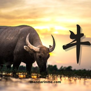 Karakter Shio Kerbau 牛 Niú Dan Karier