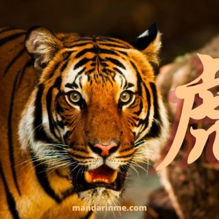 Karakter Shio Macan 虎 Hǔ Dan Karier