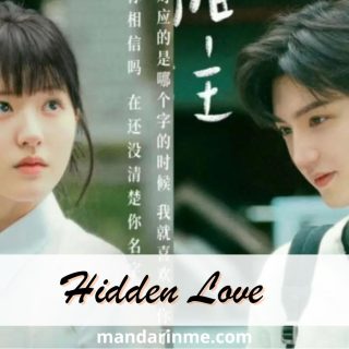 Drama China Viral, Sinopsis Hidden Love