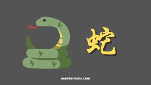Karakter Shio Ular 蛇 Shé Kebaikan Dan Keburukannya