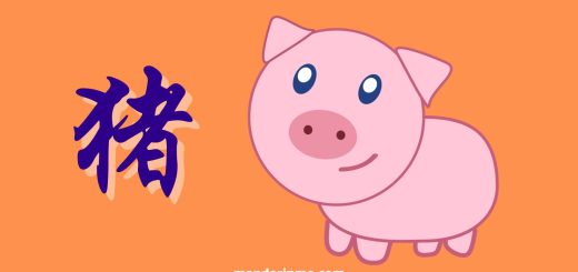 Keuangan Shio Babi 猪 Zhū Dan Jodohnya