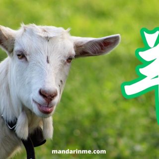 Shio Kambing 羊 Yáng Sifat Dan Keuangan