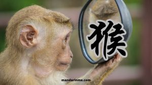 Sifat Shio Monyet 猴 Hóu dan Karier