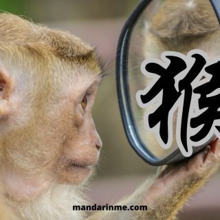 Sifat Shio Monyet 猴 Hóu dan Karier