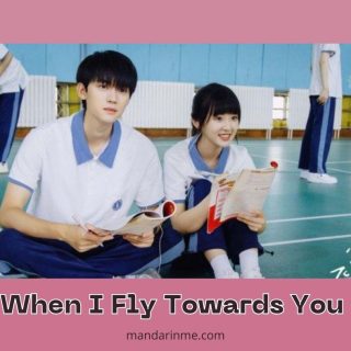 Profil Pemain Drama China When I Fly Towards You