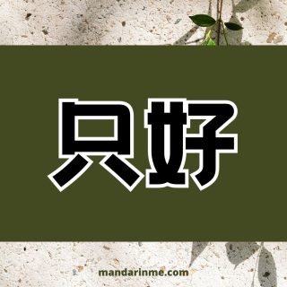 Penggunaan 只好 (Zhihao) Dalam Bahasa Mandarin Dan Contohnya