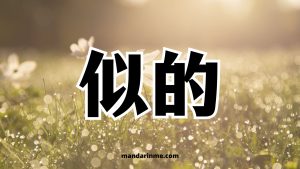Penggunaan 似的 （Shide）Dan Contoh Kalimatnya - MandarinMe