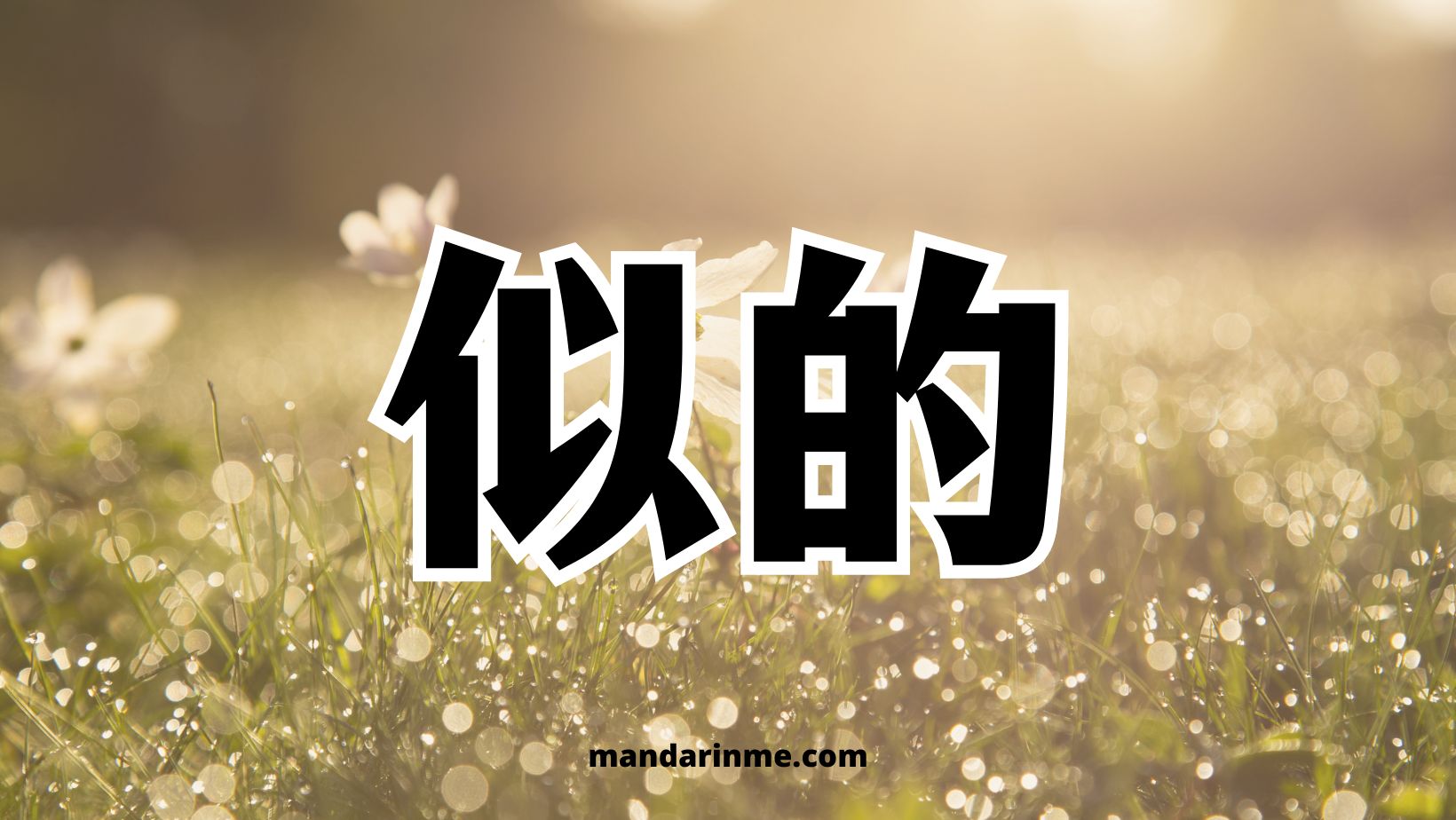 Penggunaan 似的 （Shide）Dan Contoh Kalimatnya - MandarinMe
