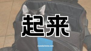 Penggunaan 起来 (Qilai) Dan Contoh Kalimatnya 