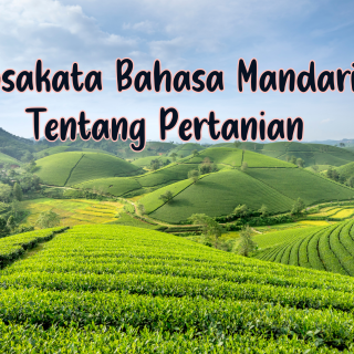 Kosakata Bahasa Mandarin Tentang Pertanian