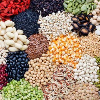 nama kacang kacangan dalam bahasa Mandarin beserta ciri dan kegunaannya.